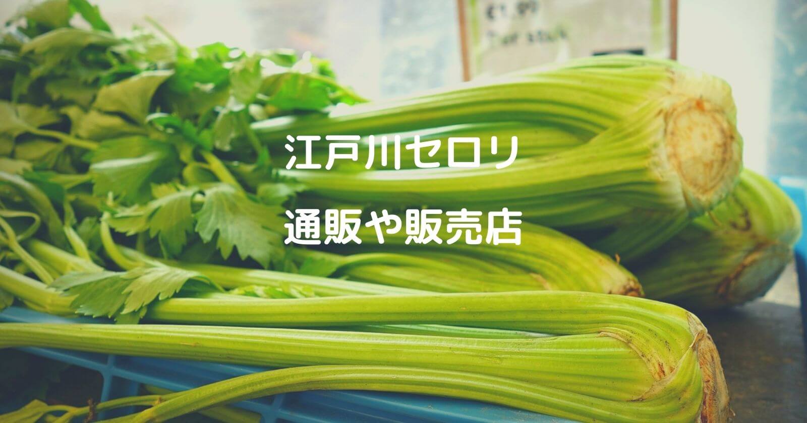 江戸川セロリの通販お取り寄せや販売店は？青空レストランでも絶賛！