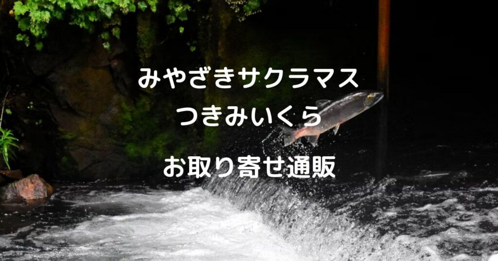 みやざきサクラマスやつきみいくらのお取り寄せ通販