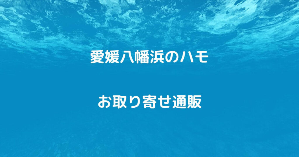 愛媛八幡浜「ハモ」のお取り寄せ通販