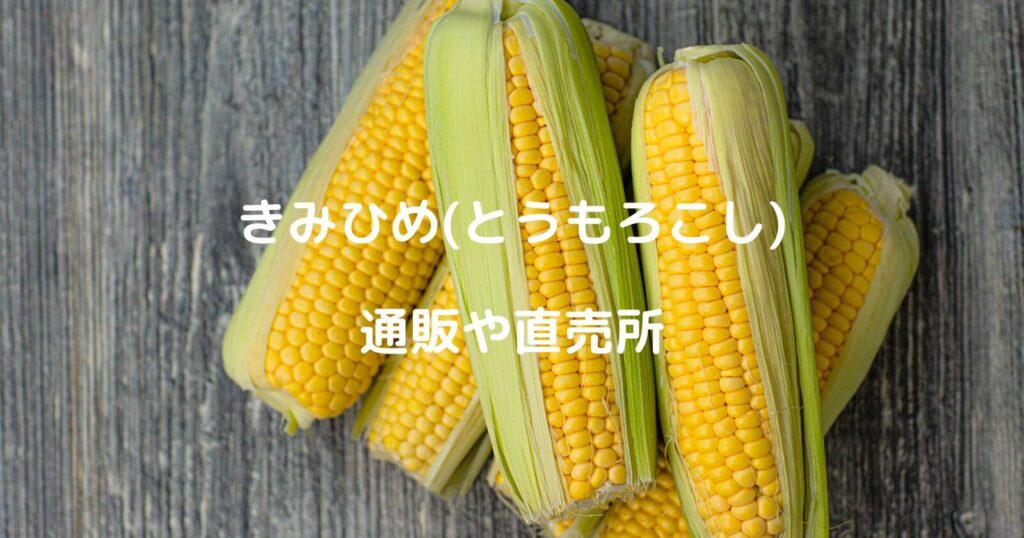 きみひめトウモロコシの通販や直売所